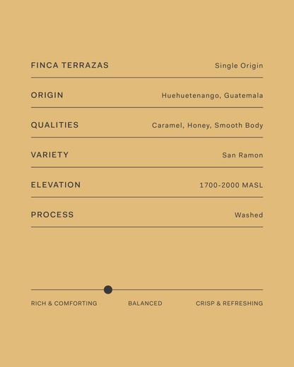 Guatemala Finca Terrazas