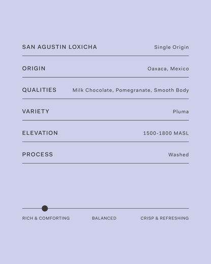 Mexico San Agustin Loxicha