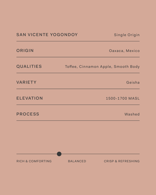 Mexico San Vicente Yogondoy coffee information card listing origin and roast details.
